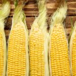 How to Blanch and Freeze Fresh Corn