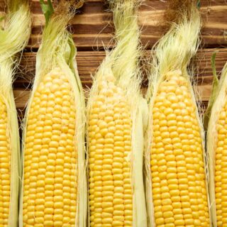 How to Freeze Corn on the Cob: Blanched, Unblanched, and Whole | Step-by-Step Guide