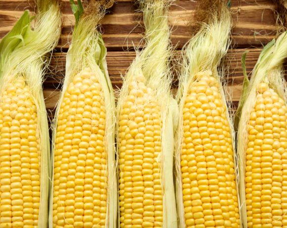 How to Blanch and Freeze Fresh Corn