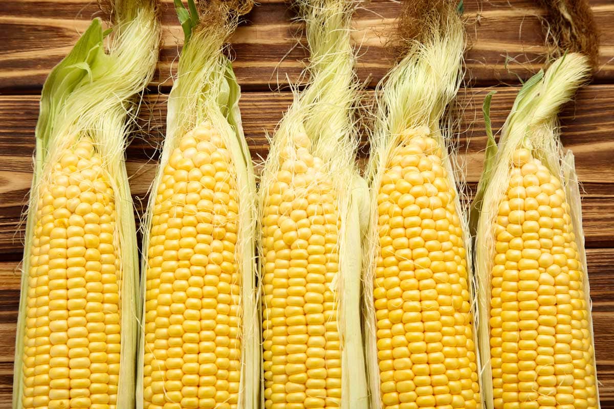 How to Freeze Corn on the Cob: Blanched, Unblanched, ...