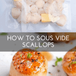 pinterest button for sous vide scallops recipe