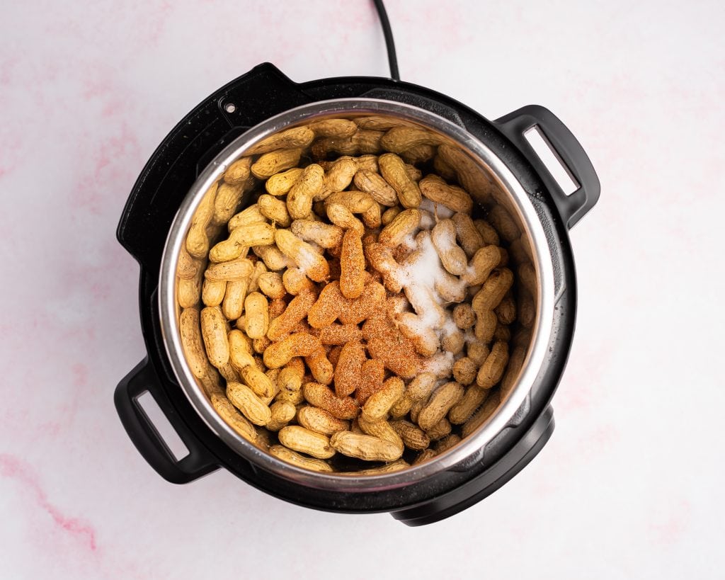 instant pot with boiled peanuts and cajun seasoning