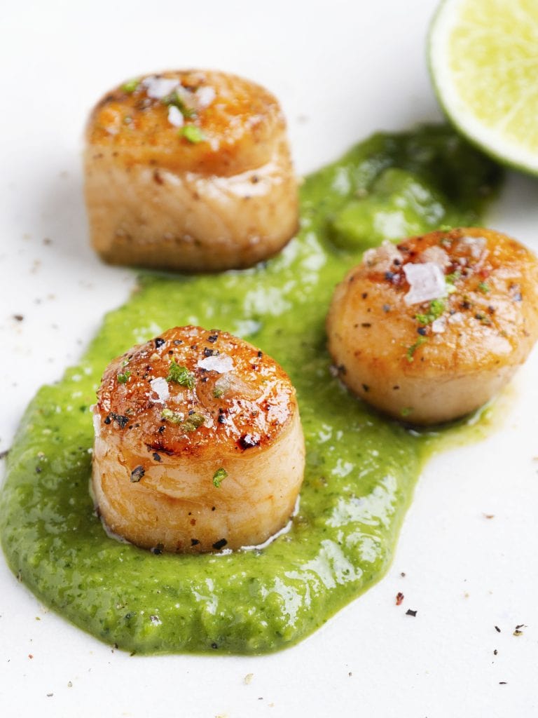 sous vide scallops on a white plate with bright green sauce