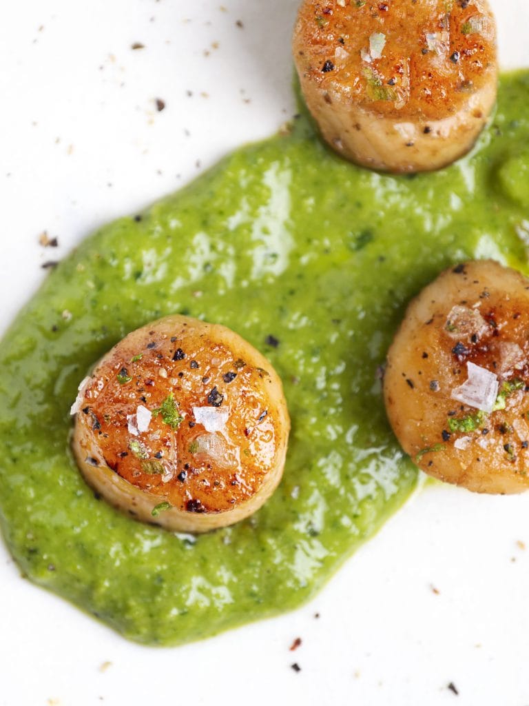 sous vide scallops on a white plate with bright green sauce